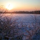 Winterwald im Vogtland