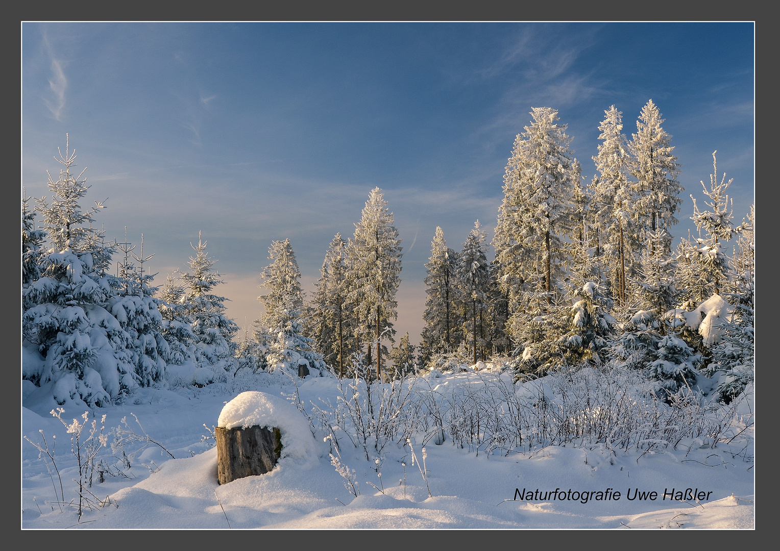 Winterwald im Wittgensteiner Land