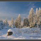 Winterwald im Wittgensteiner Land