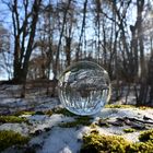 Winterwald in der Glaskugel