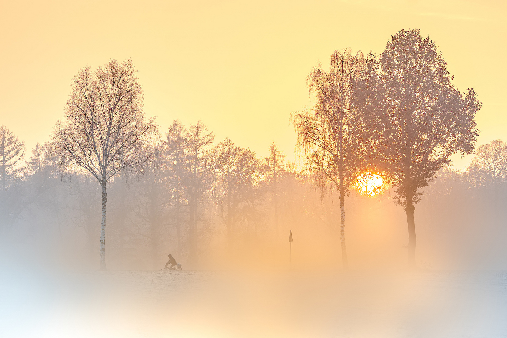 Winterwald in der Heide