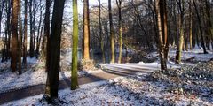 Winterwald in Rastede