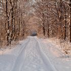 Winterwald in Retringen oberhalb von Menden-Asbeck