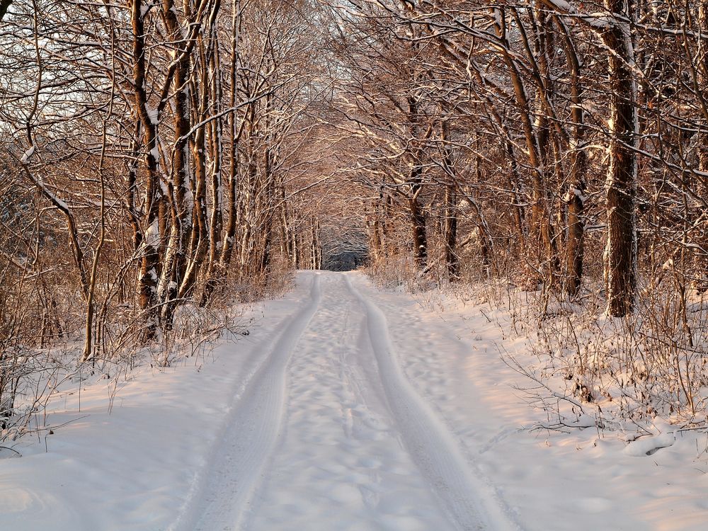 Winterwald in Retringen oberhalb von Menden-Asbeck