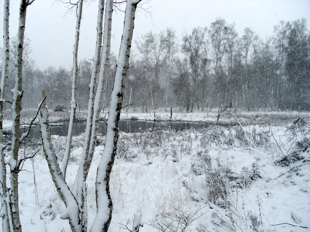 Winterwald in Tschechien