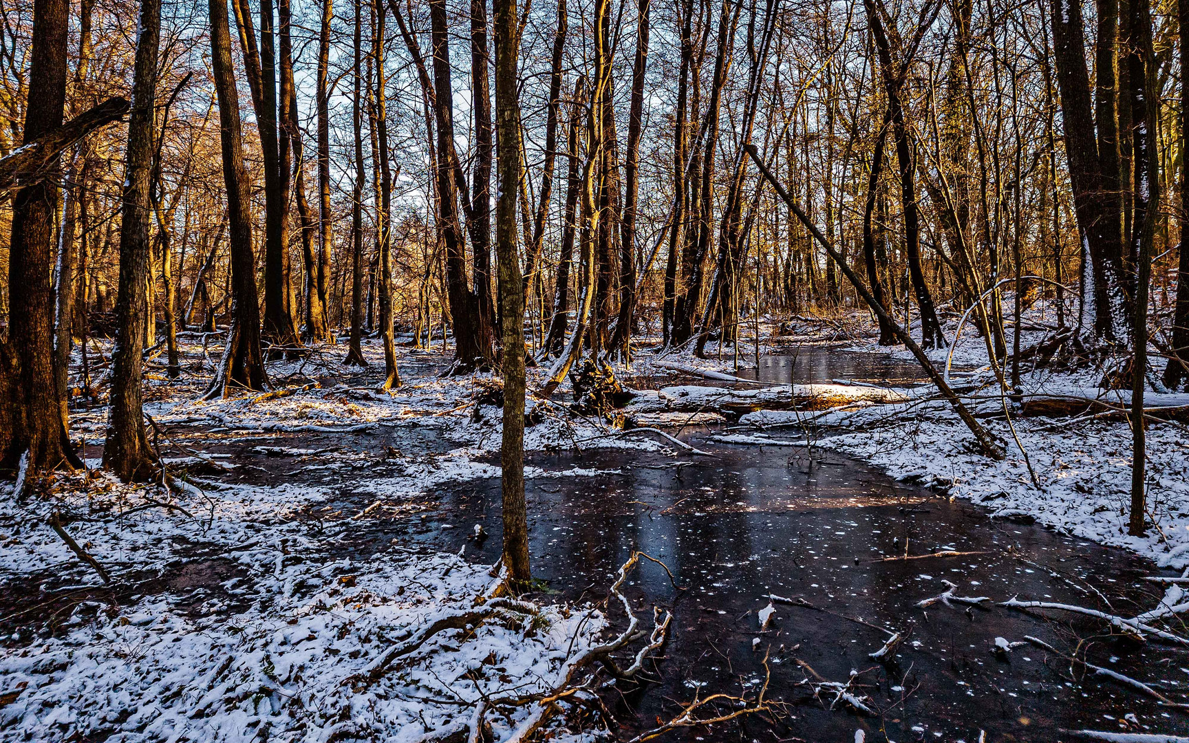 Winterwald - leider nur für kurze Zeit, denn.....