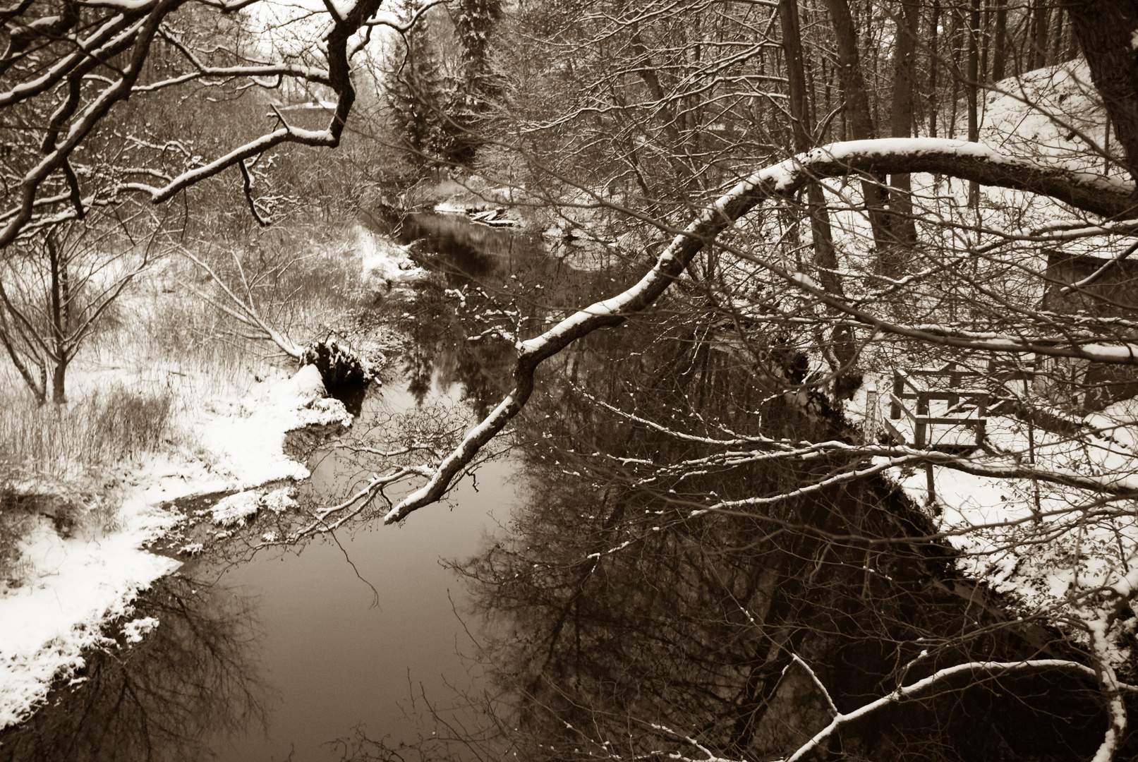 Winterwald mit Fluss