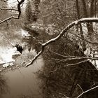 Winterwald mit Fluss