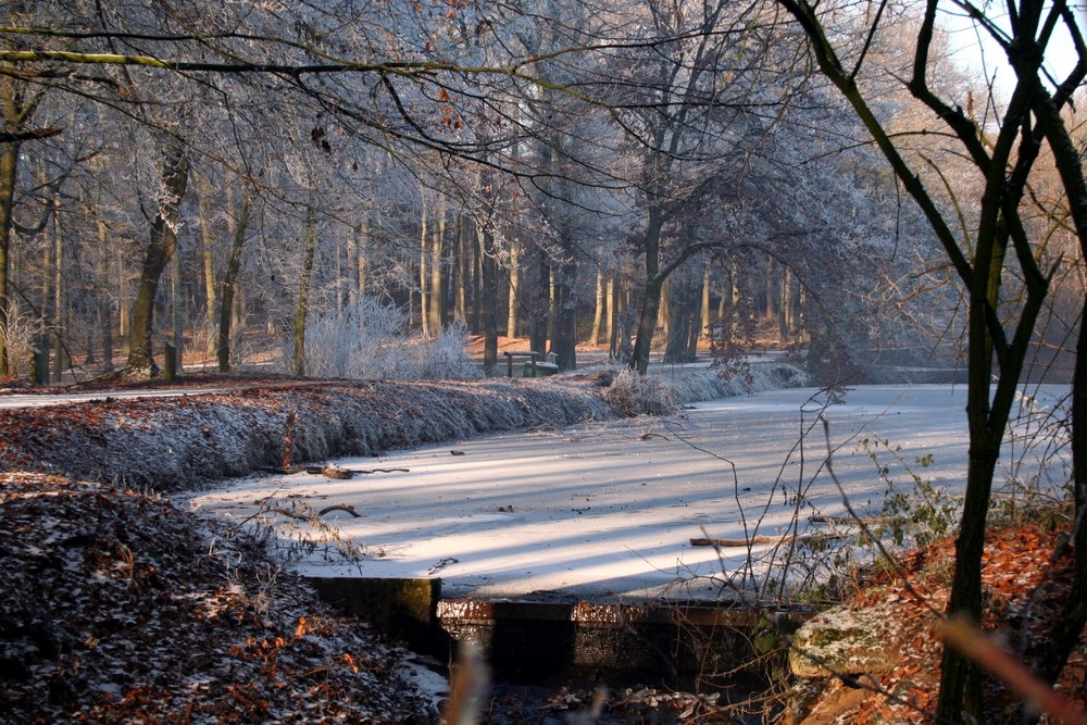 Winterwald Raesfeld 2