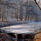 Winterwald Raesfeld 2