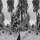 Winterwald-Stereo