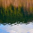 Winterwald-Wasserspiegelungen auf unserer Talsperre