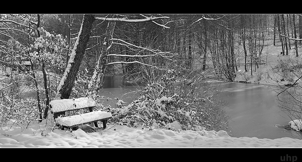 Winterwald-Weiher