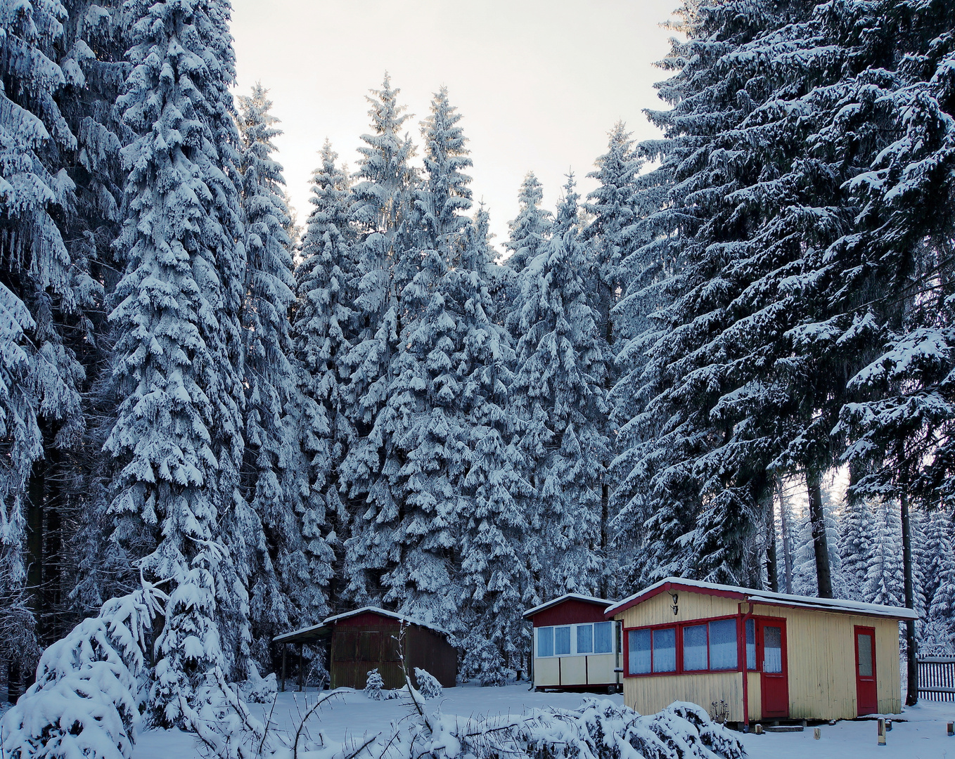 WinterWaldHütten