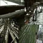 Winterwaldimpressionen