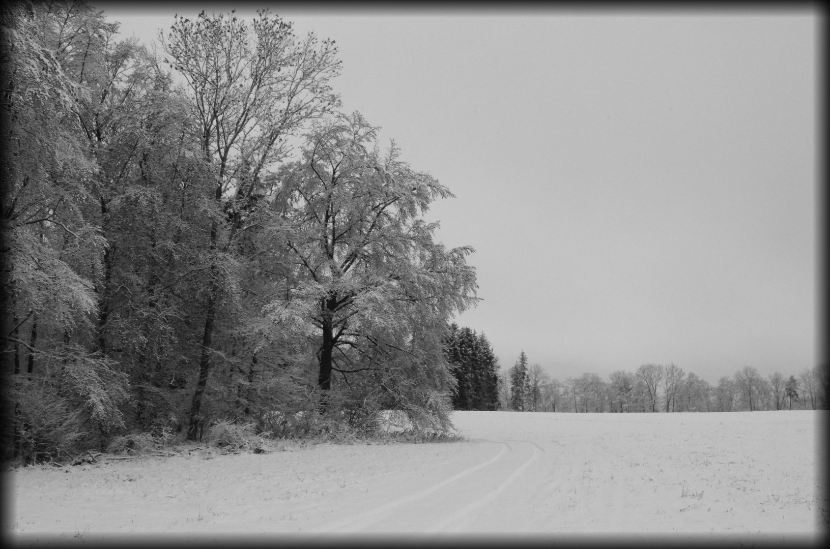 Winterwaldrand