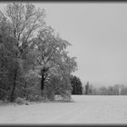 Winterwaldrand