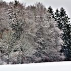 Winterwald....schwäbische Alb