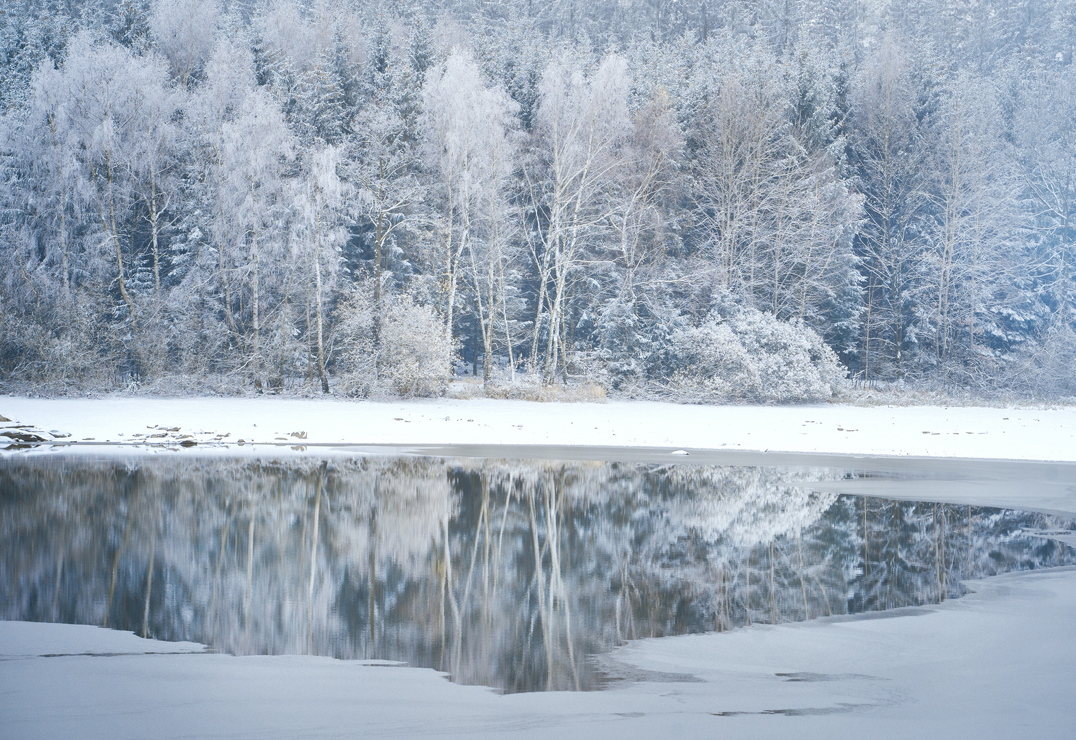 WinterWaldSee