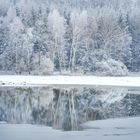 WinterWaldSee