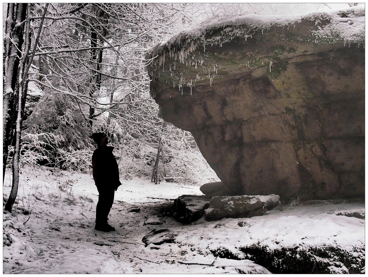 Winterwaldstein