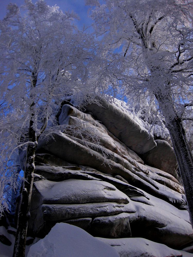 Winterwaldstein