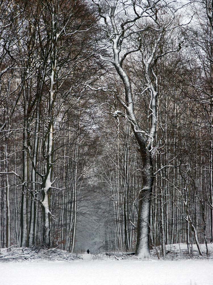 Winterwaldweg