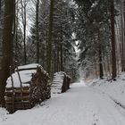 Winterwaldweg