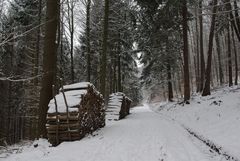 Winterwaldweg