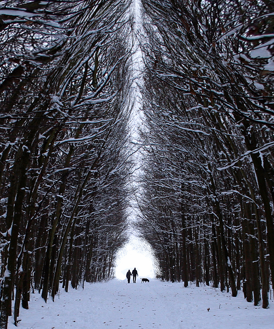 Winterwaldweg