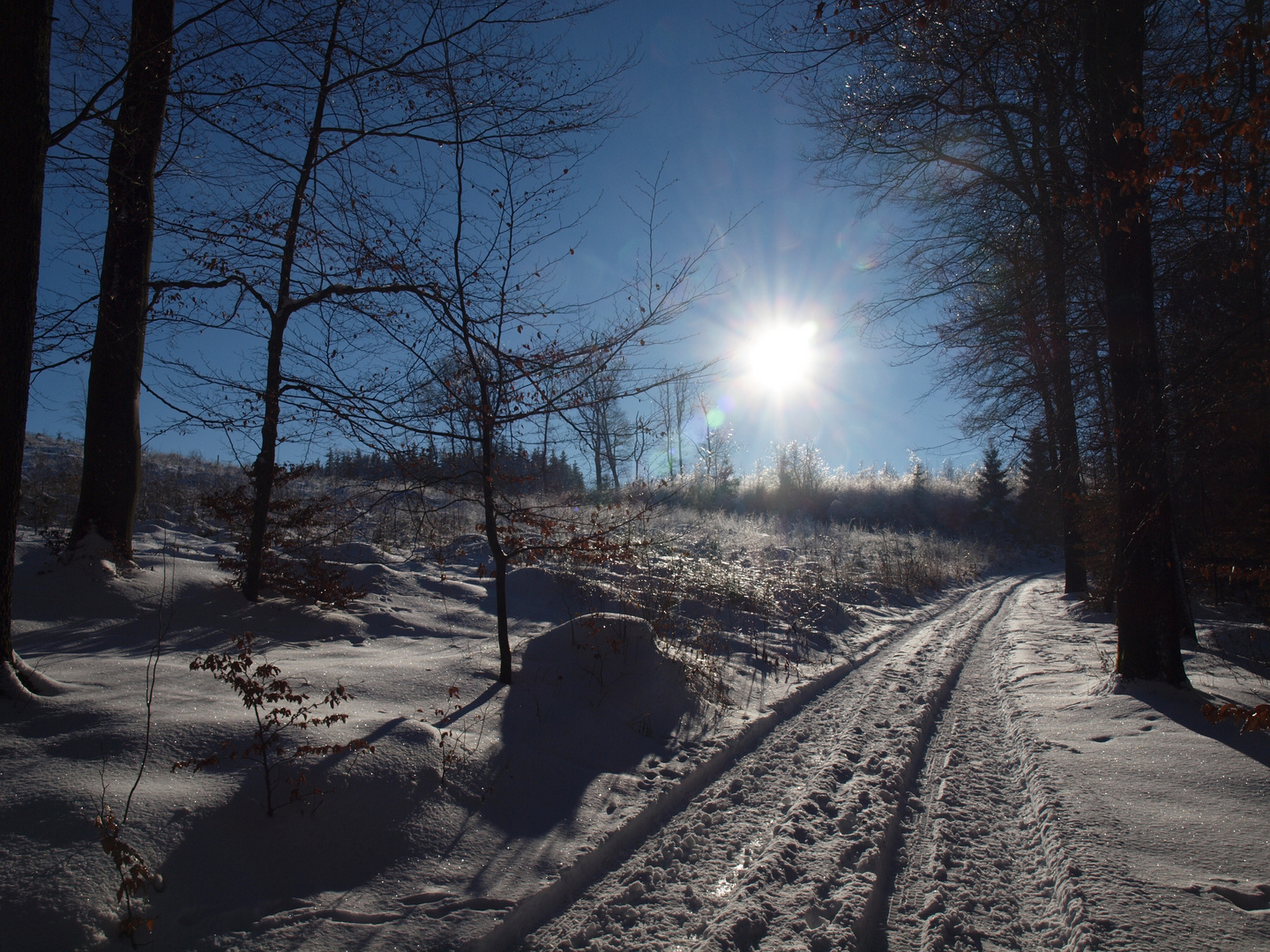 Winterwaldweg