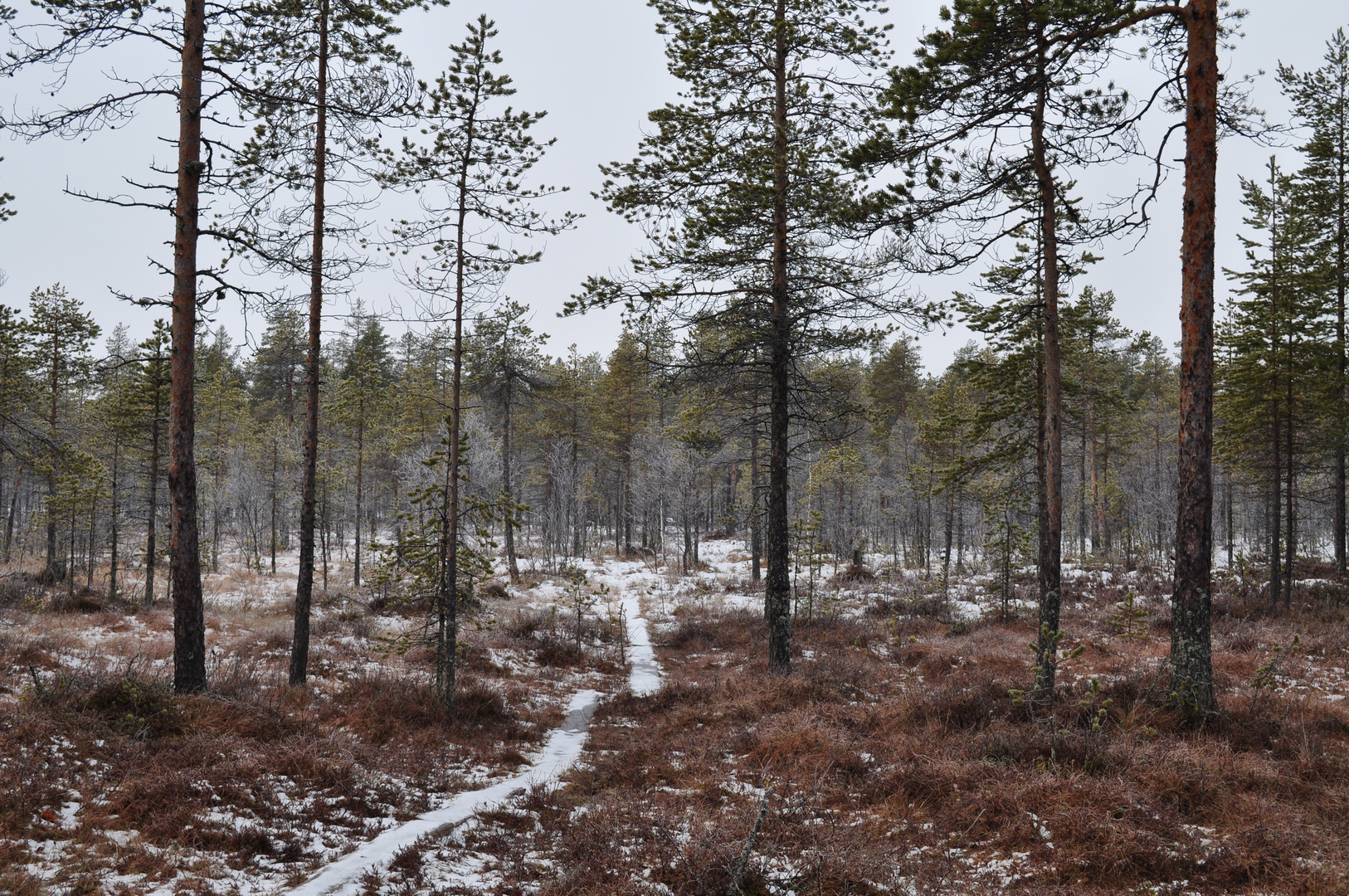 winterwaldweg