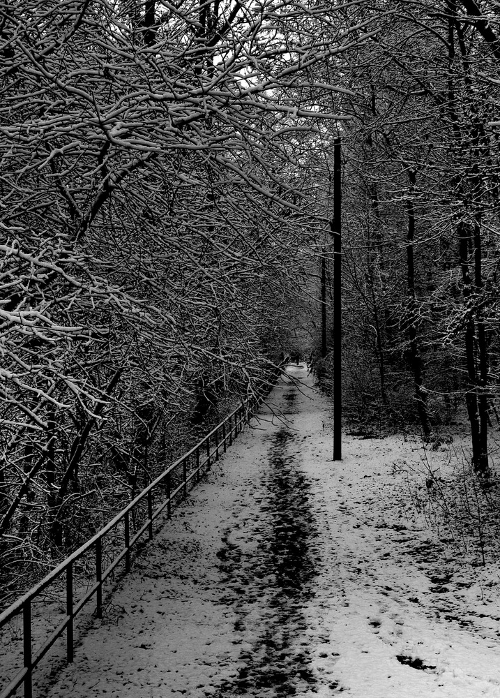 Winterwaldweg