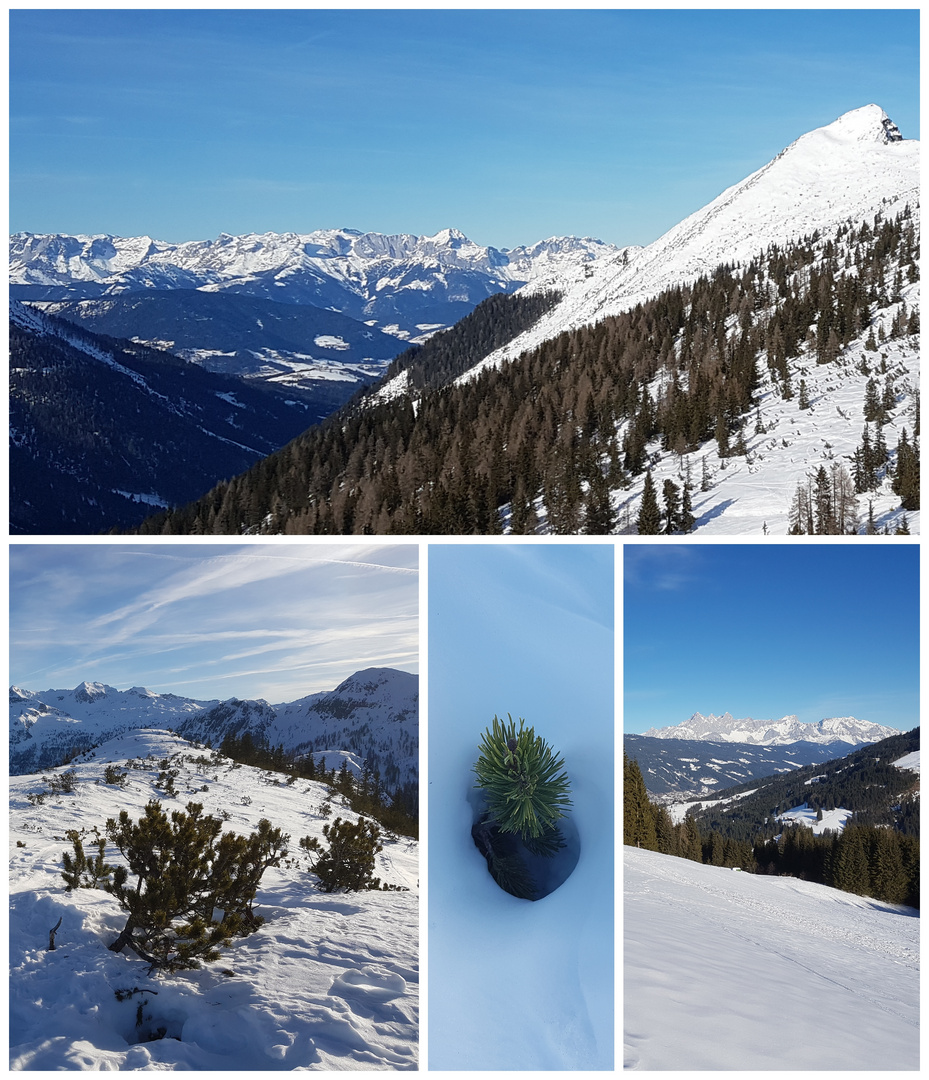 Winterwandern