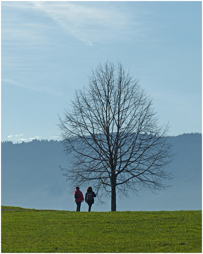 winterwandern