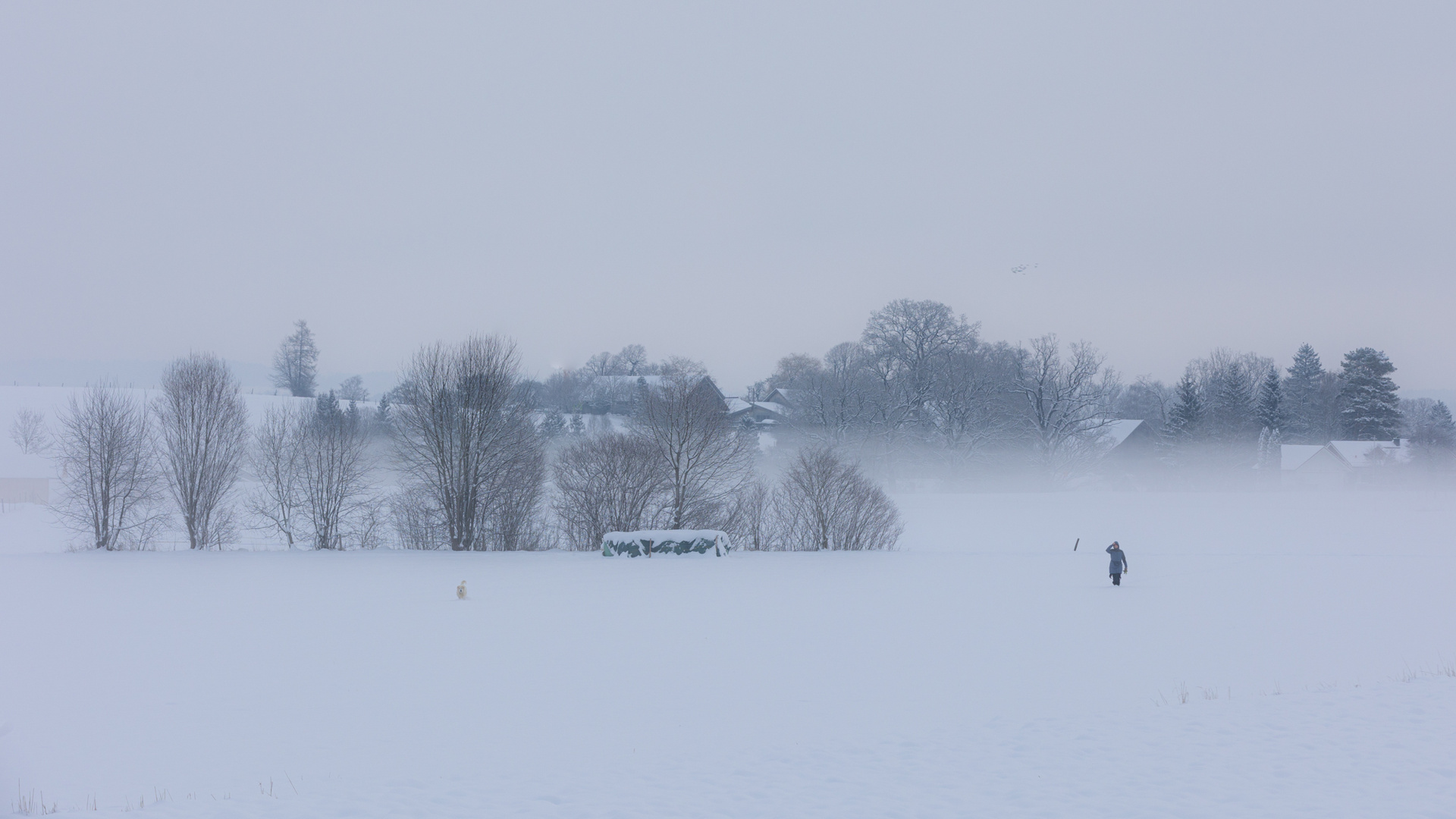 ···Winterwandern···