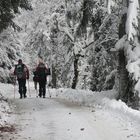 winterwandern