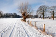 Winterwandern am Niederrhein