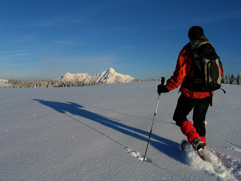 Winterwandern