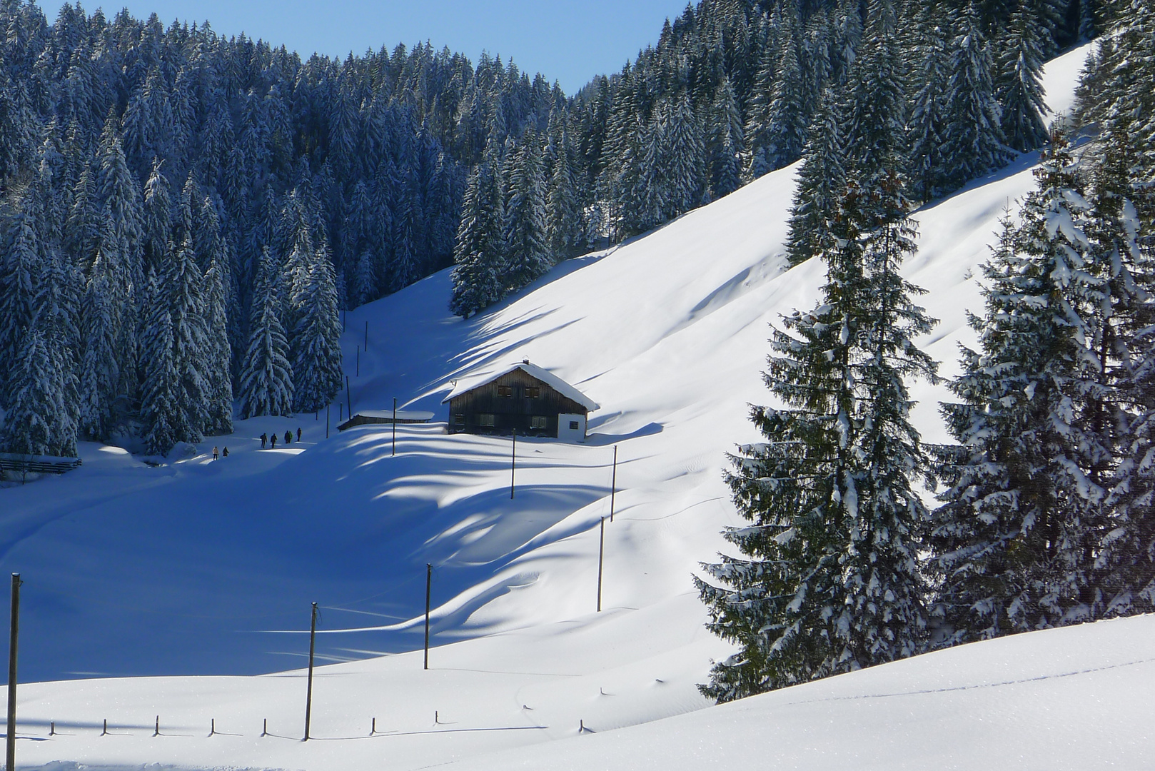 Winterwandern im Kojental