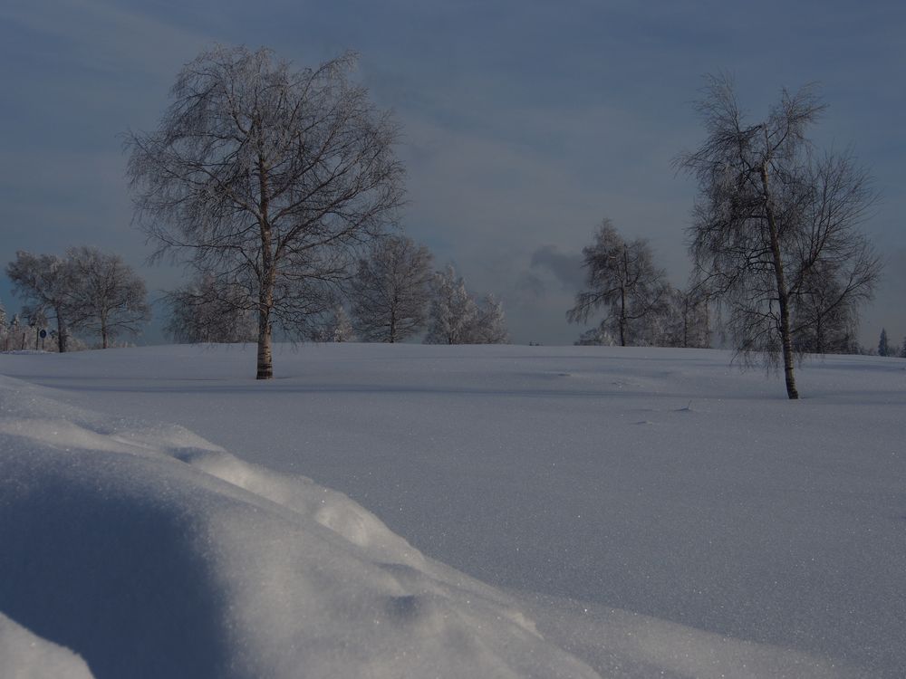 Winterwandern Kniebis 9