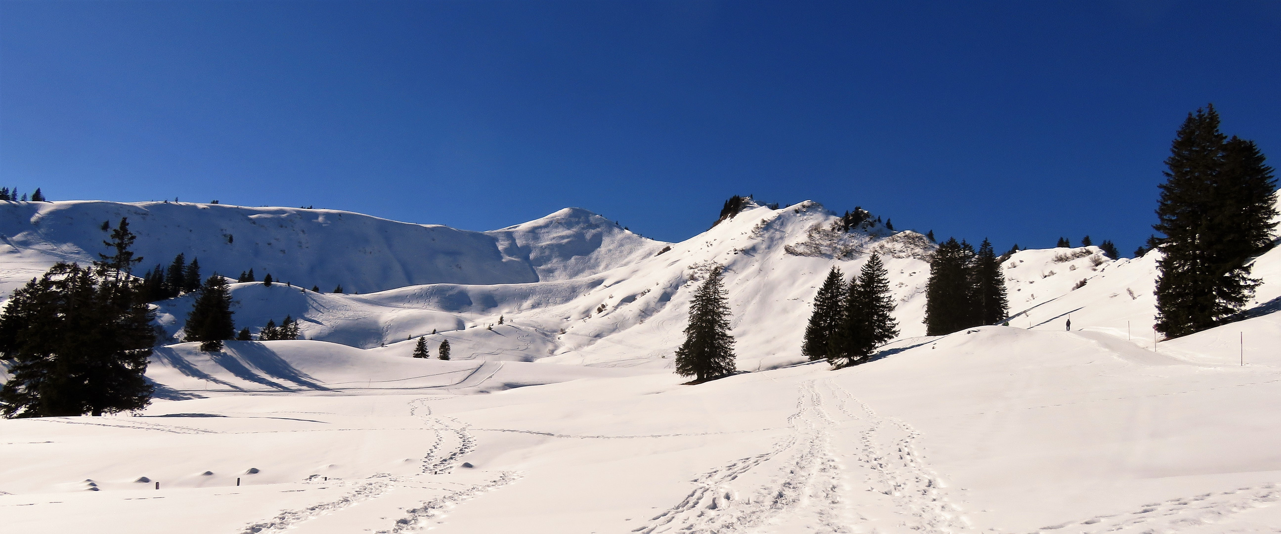 Winterwandern unterm Riedberger Horn