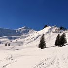 Winterwandern unterm Riedberger Horn