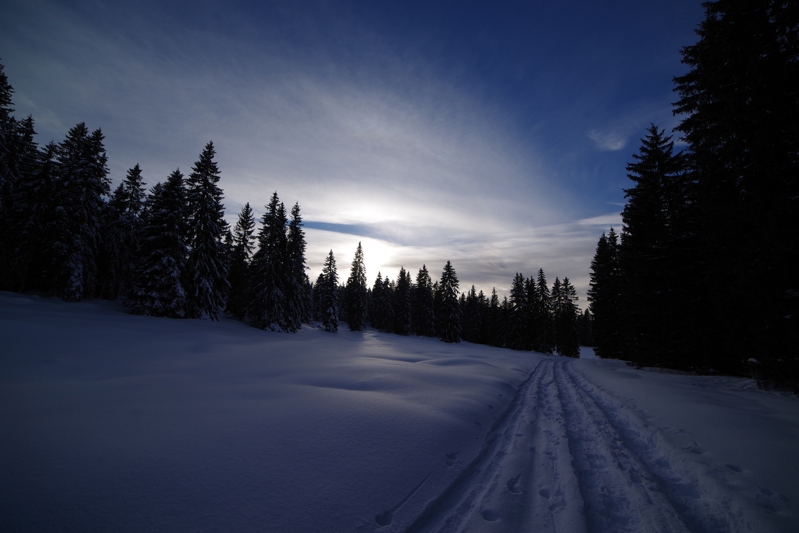 Winterwanderung 1