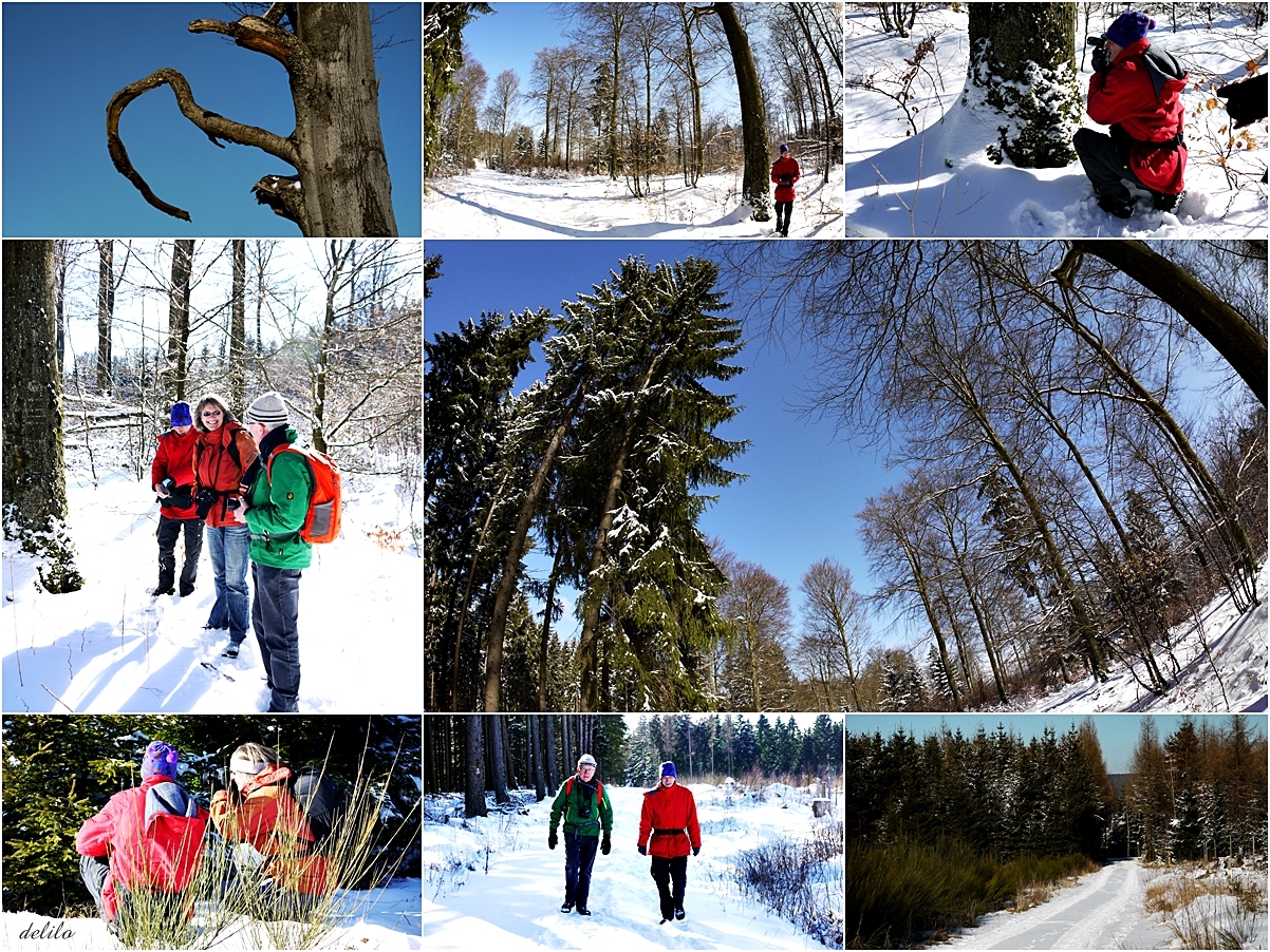 Winterwanderung 1