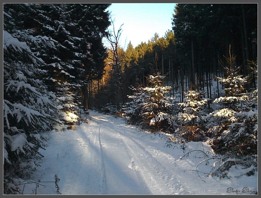 Winterwanderung 1