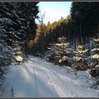 Winterwanderung 1