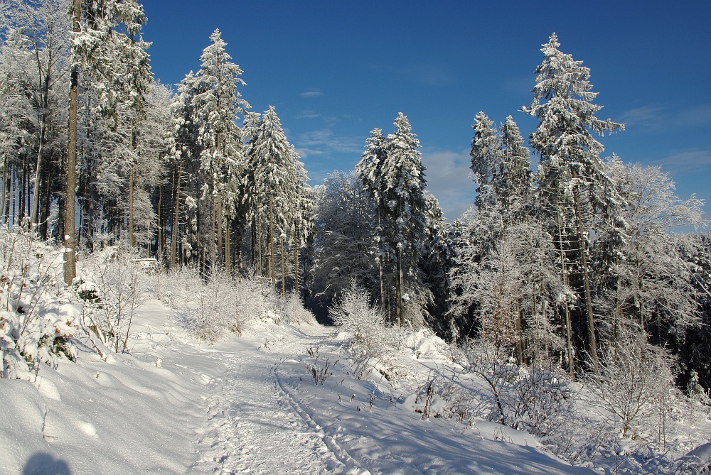 Winterwanderung