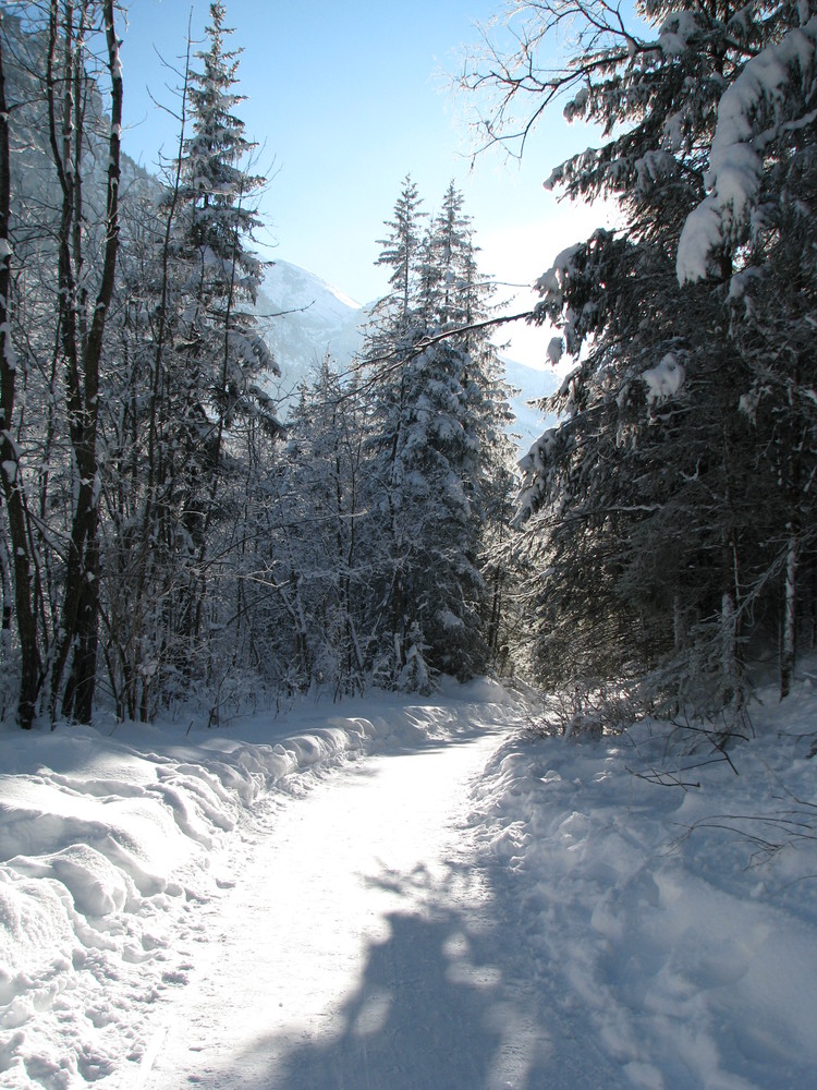 Winterwanderung