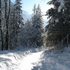 Winterwanderung